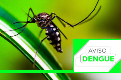 Aviso de dengue