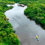 Iniciativa Amazônia+10
