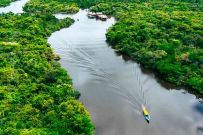 Iniciativa Amazônia+10