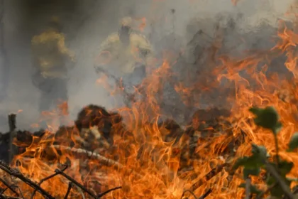 Incêndio no Pantanal tem cenário de animais em fuga e muita ventania