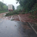 danos em rodovias estaduais