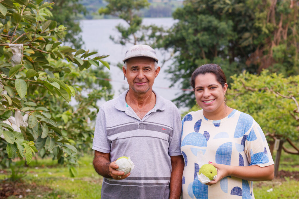 Goiaba projeta município do Paraná com cultivo inovador 4 selecionadas05
