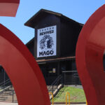 teatro-reviver-mago