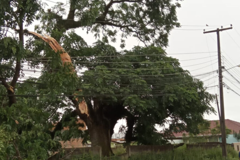 Mais de mil profissionais da Copel trabalham para restabelecer energia no Estado
