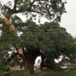 Copel corre para reestabelecer energia