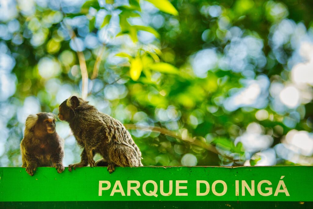 Parque do Ingá