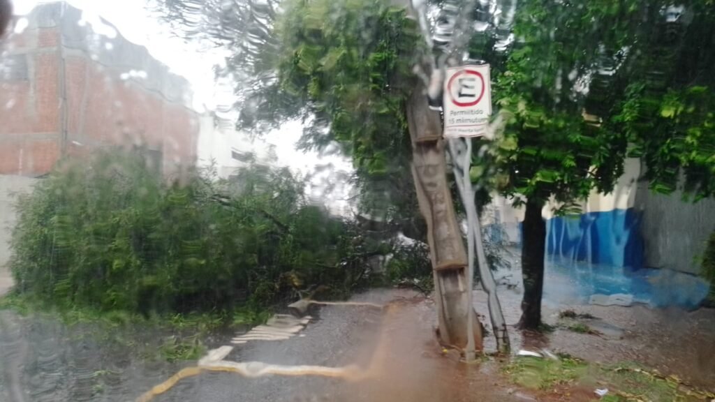 Chuva forte causa queda de árvores em Maringá neste domingo, 17 2 WhatsApp Image 2023 12 17 at 17.20.52