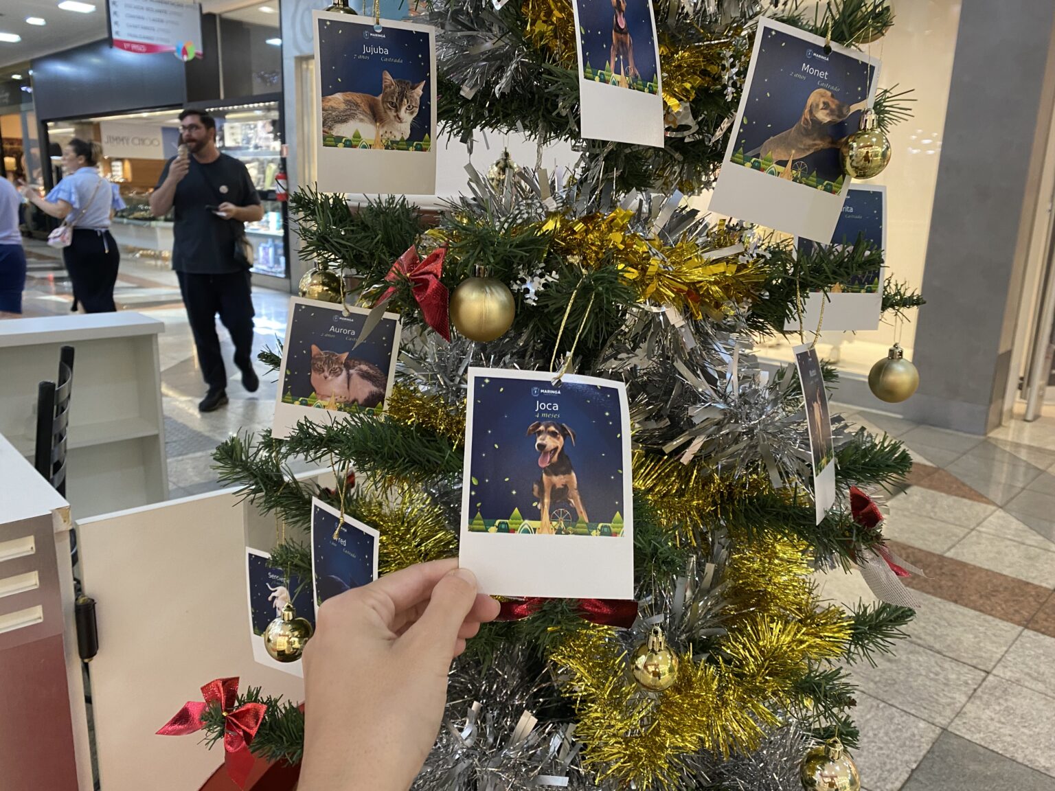 Árvore da Esperança decorada com fotos de pets