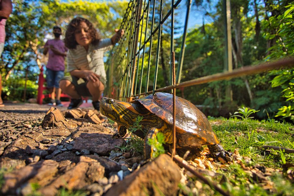 Parque do Ingá