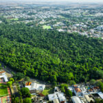 Bosque 2, Maringá Paraná, área verde, meio ambiente