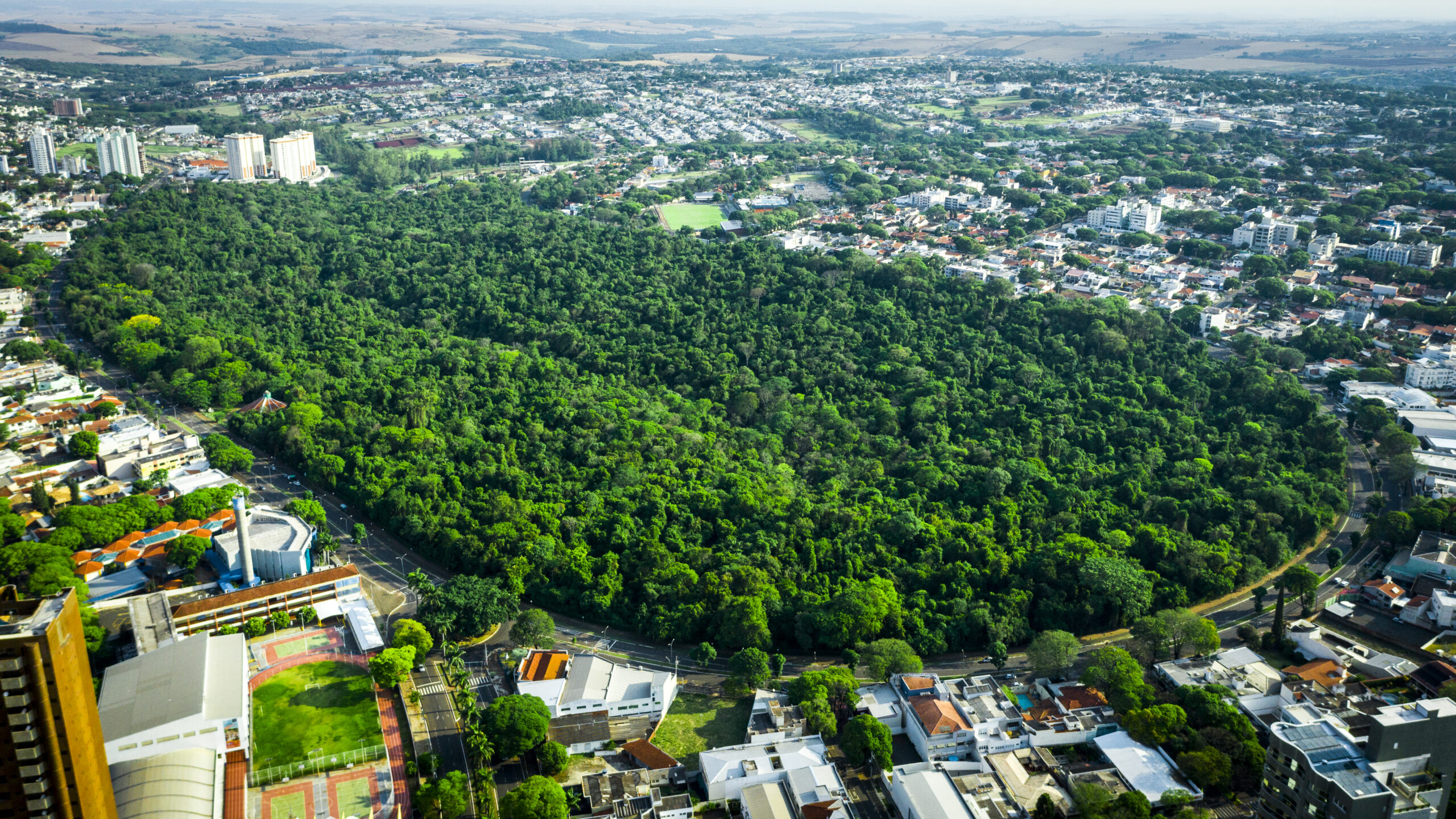 Bosque 2, Maringá Paraná, área verde, meio ambiente