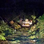 Chuva em Maringá causa queda de árvores, derruba postes e deixa região sem energia