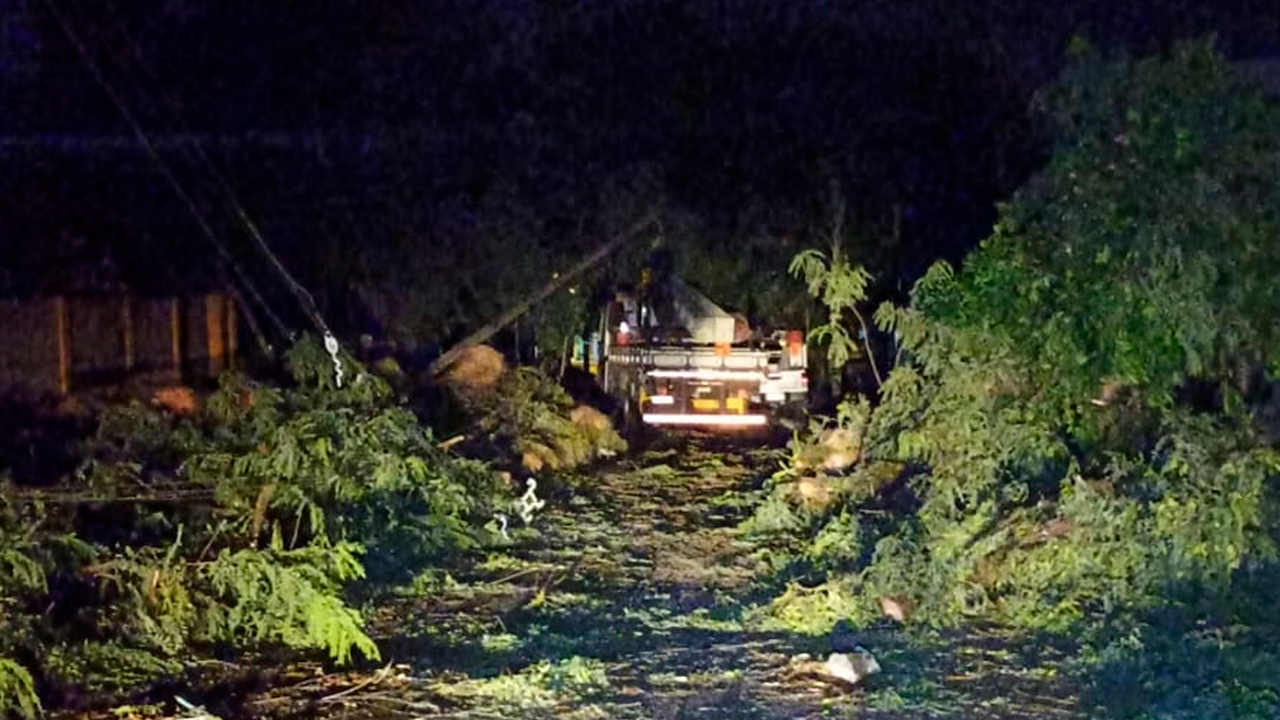 Chuva em Maringá causa queda de árvores, derruba postes e deixa região sem energia