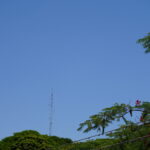Praça Farroupilha, Jardim Alvorada, Maringá Paraná