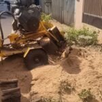 Prefeitura de Sarandi segue com a retirada de 500 tocos mapeados pelo Plano Diretor; previsão é alcançar 3 mil remoções