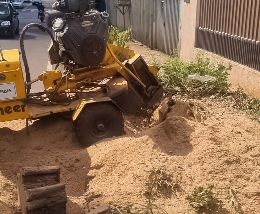 Prefeitura de Sarandi segue com a retirada de 500 tocos mapeados pelo Plano Diretor; previsão é alcançar 3 mil remoções