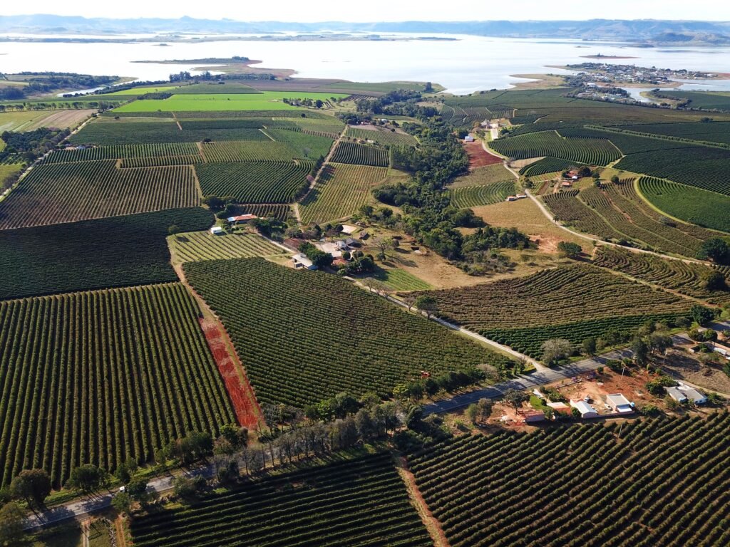 Paraná registra maior crescimento em atividade econômica no Brasil em 2023, aponta Banco Central 4 cafecarlopolis 017