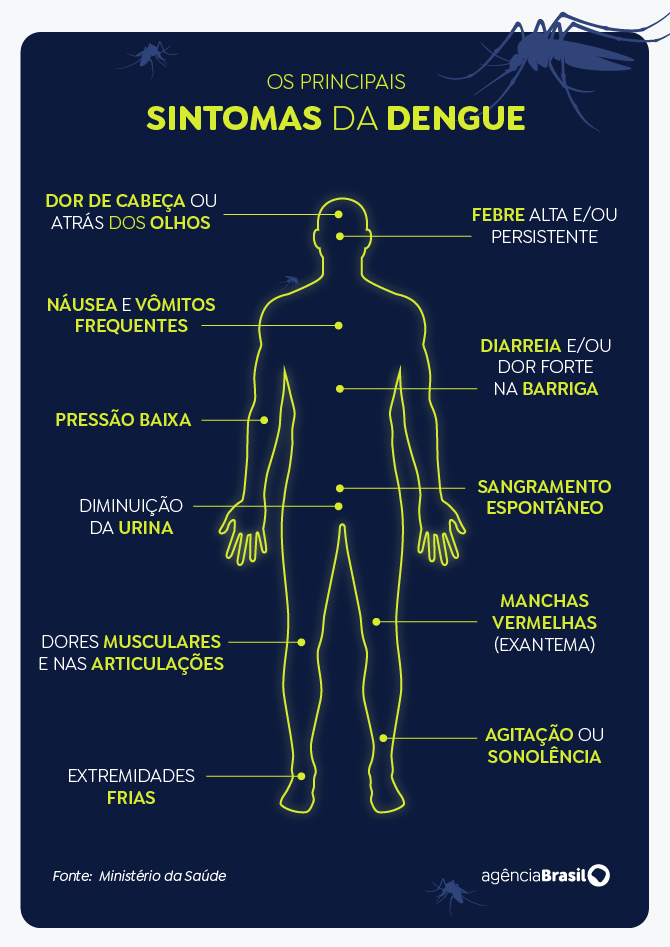 SUS: vacinação contra a dengue começa em fevereiro, em 521 municípios 4 image 19