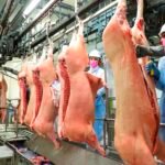 Exportações do agronegócio paranaense cresceram 40,8% em volume em 2023