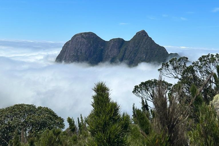 Parque Estadual Pico Paraná