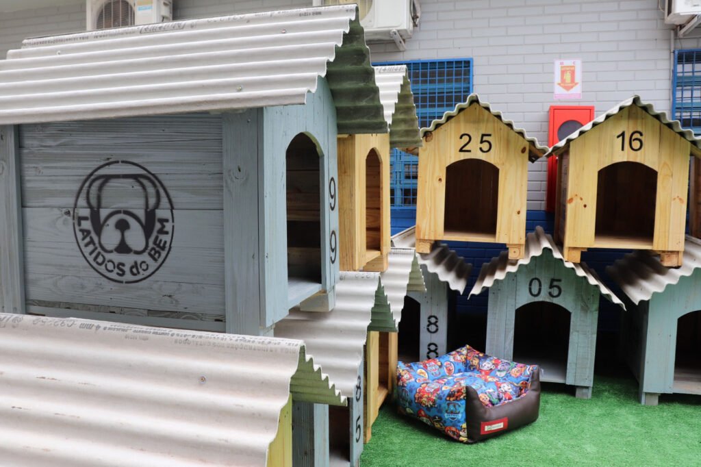 Olha que legal! Detentos de Cascavel fazem 100 casinhas para cães resgatados das ruas 5 whatsapp image 2024 01 19 at 16.27.13 1