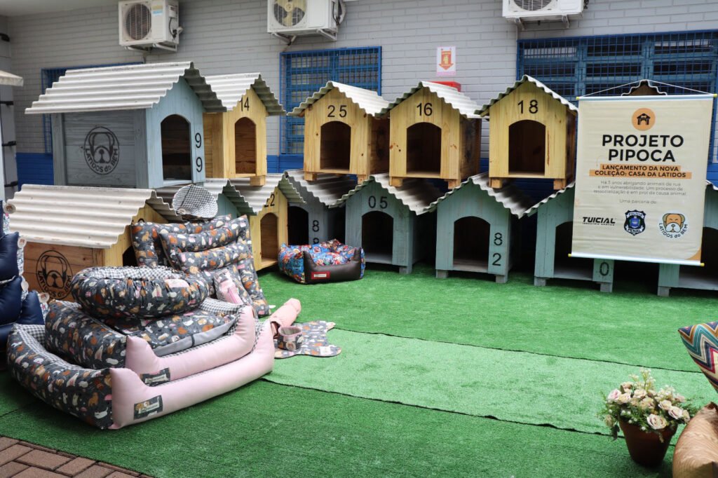 Olha que legal! Detentos de Cascavel fazem 100 casinhas para cães resgatados das ruas 6 whatsapp image 2024 01 19 at 16.27.14 1
