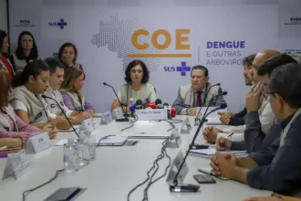 A ministra da Saúde, Nísia Trindade, disse neste sábado (3) que o governo estuda ampliar a oferta de vacinas contra a dengue no país.