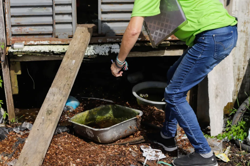 Dia D: Estado vai apoiar municípios na mobilização contra a dengue neste sábado 5 mobilização contra a dengue