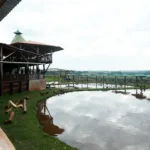 caminhadas na natureza
