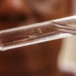 Dengue