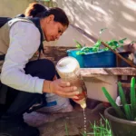 mutirão de combate à dengue