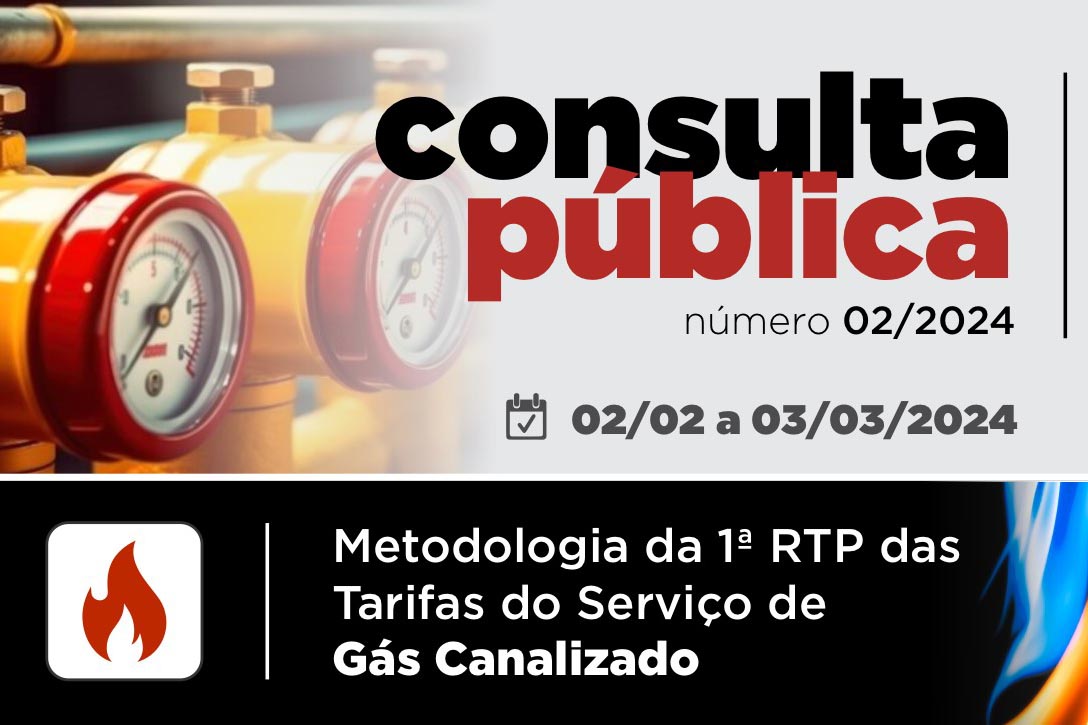 Consulta Pública