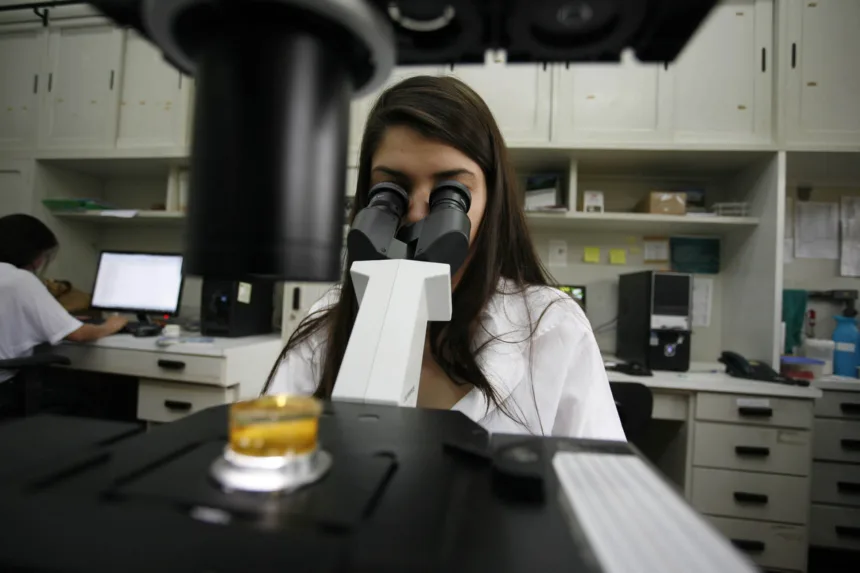 Universidades estaduais têm 262 vagas abertas para cursos de mestrado e doutorado Foto: UEM