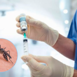 vacina contra a dengue