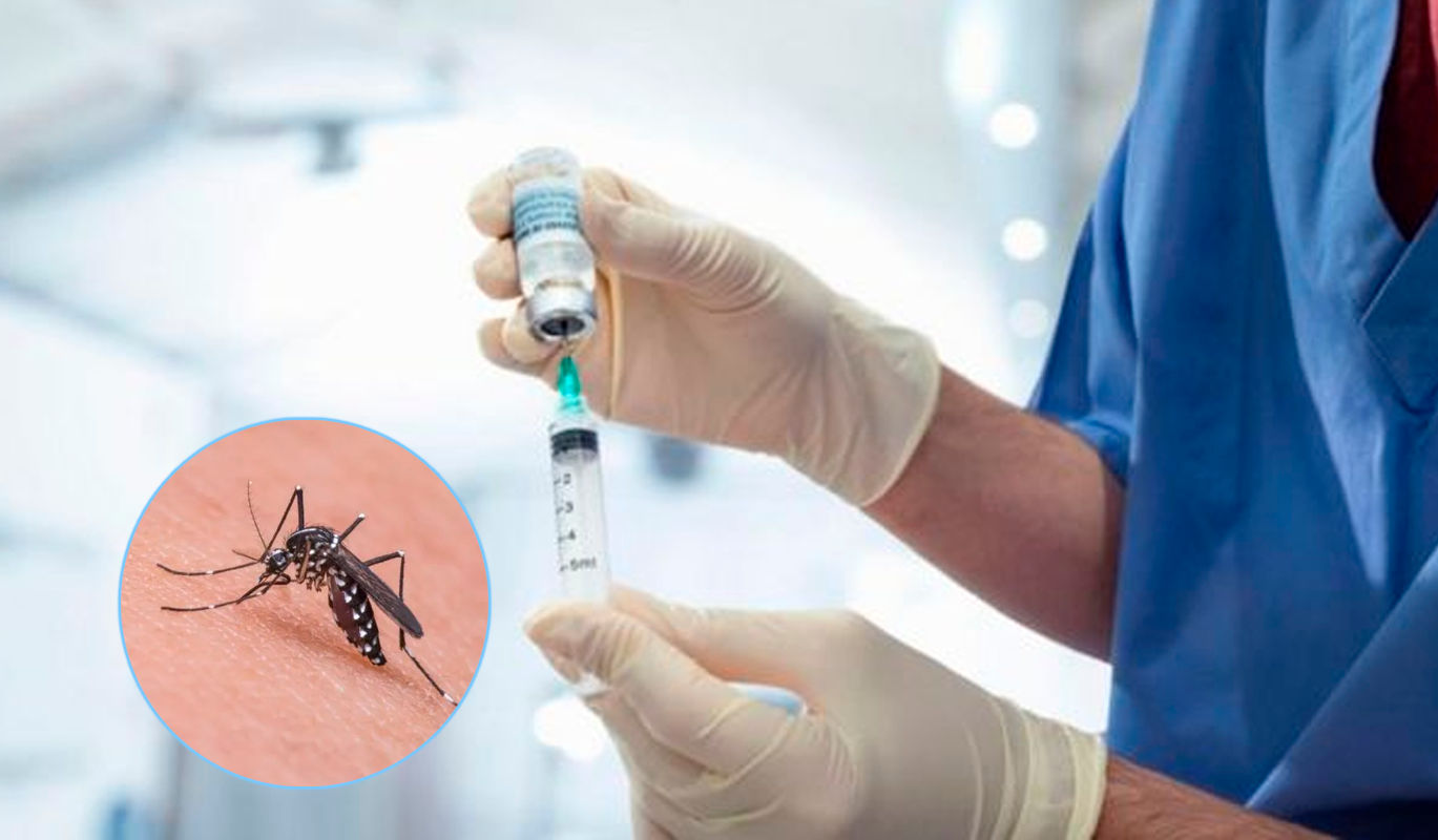 vacina contra a dengue