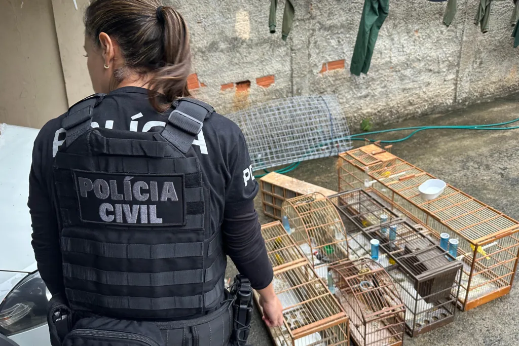 Polícia Civil do Paraná apreende 390 animais silvestres em megaoperação contra rede de tráfico internacional 4 whatsapp image 2024 02 26 at 08.11.41 1