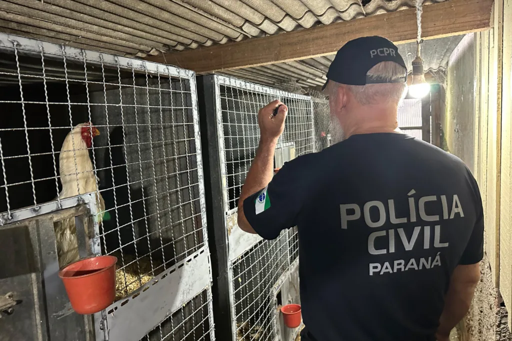 Polícia Civil do Paraná apreende 390 animais silvestres em megaoperação contra rede de tráfico internacional 2 whatsapp image 2024 02 26 at 18.07.10 1