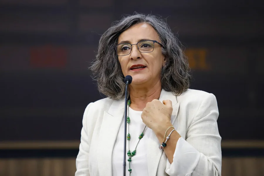 Consulta Popular é tema de reunião pública na Câmara de Maringá 4 Vereadora Professora Ana Lucia