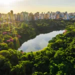 Maringá, cidade árvore do mundo