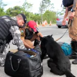 Polícia Militar do Paraná. Foto PMPR