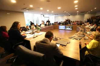 Ampliação do ensino de inglês na rede pública é discutida em reunião de Frente Parlamentar da Primeira Infância