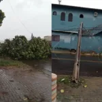 Tempestade, poste e árvores caíram