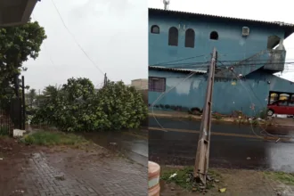 Tempestade, poste e árvores caíram