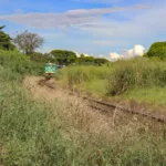 Prefeitura de Sarandi multa Rumo Logística em R$ 235 mil por não executar roçada no entorno dos trilhos