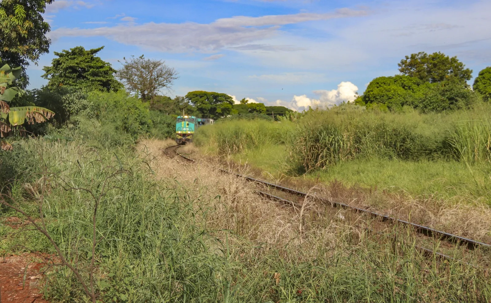 Prefeitura de Sarandi multa Rumo Logística em R$ 235 mil por não executar roçada no entorno dos trilhos