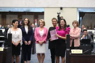 O objetivo foi agrupar o conjunto de normas vigentes que interferem na vida das mulheres, de modo a facilitar o acesso por toda população, organizando as leis pela sua pertinência temática, promovendo ainda, se possível e necessário, uma revisão dos dispositivos sobre os mais diversos assuntos.Créditos:Orlando Kissner/Alep