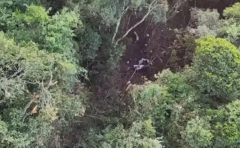 Queda de avião: Localizados destroços da aeronave que caiu na Serra do Japi, em São Paulo 2 imagem do whatsapp de 2024 03 30 as 065155 3a88d295 jpg