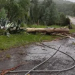 Poste caído após temporal