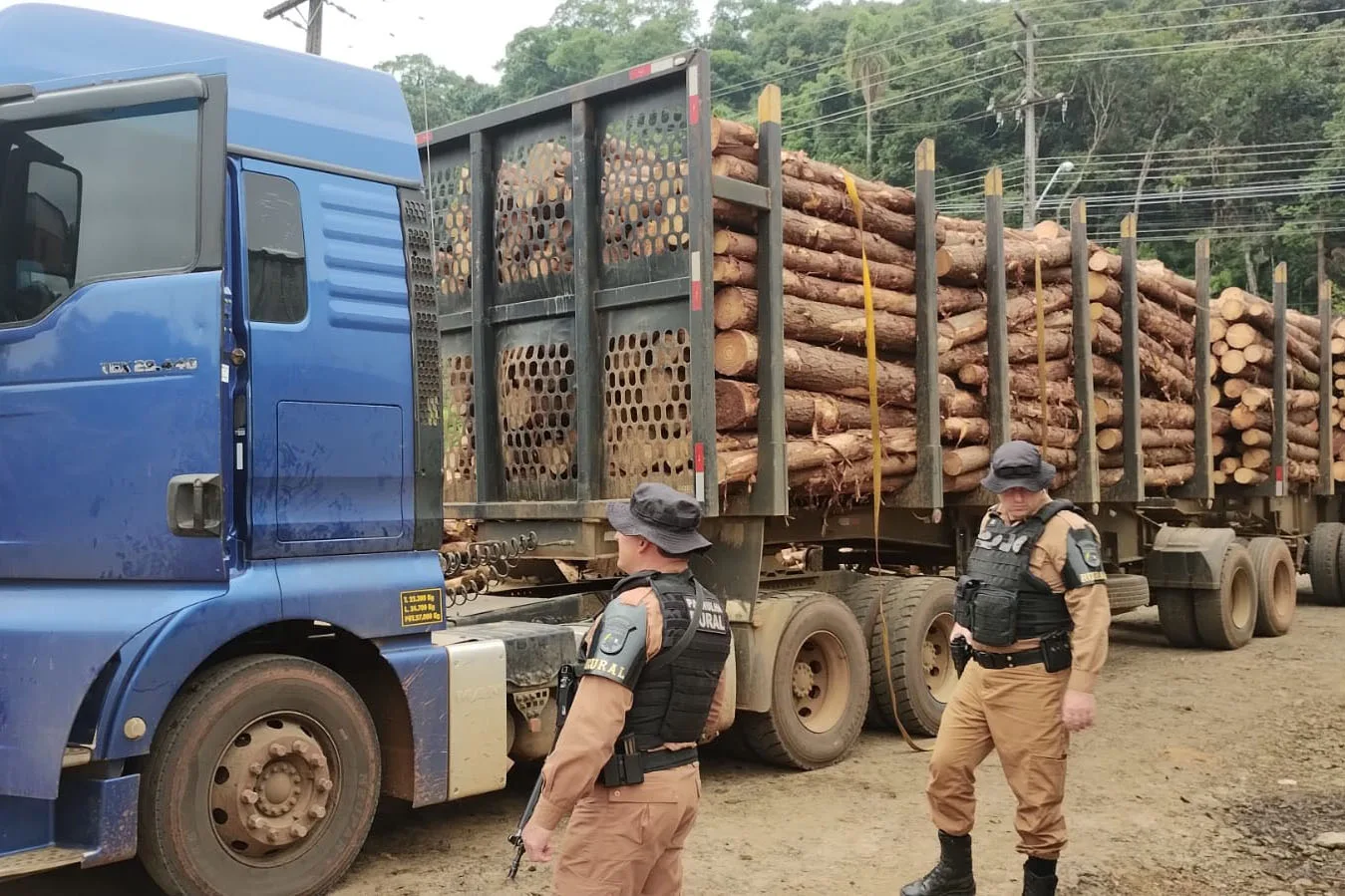 Policiais investigando caminhões com madeira