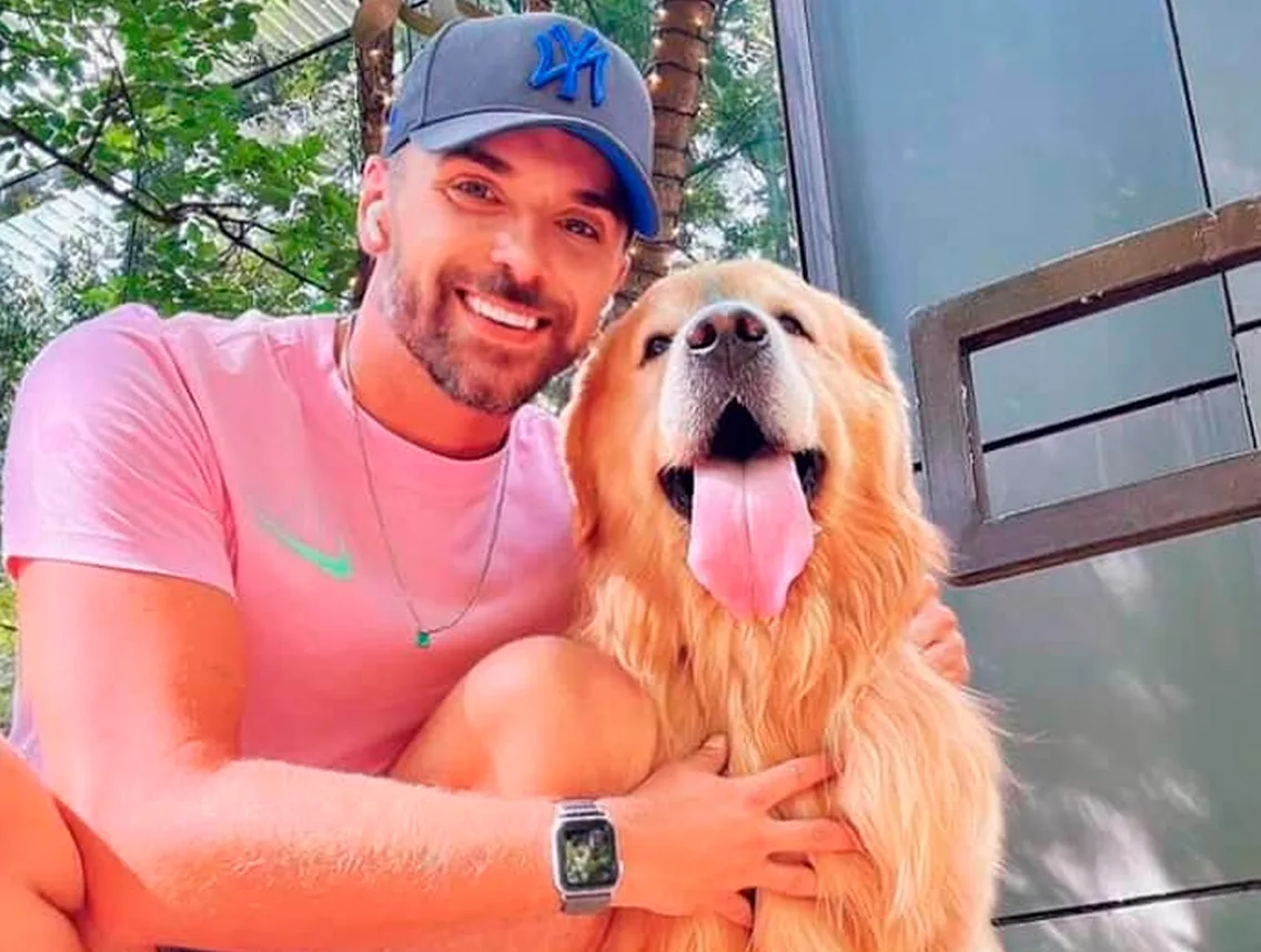 Joca, cão da raça Golden Retriever que morreu após ser enviado para destino errado. Entenda os cuidados necessários para o transporte de animais
